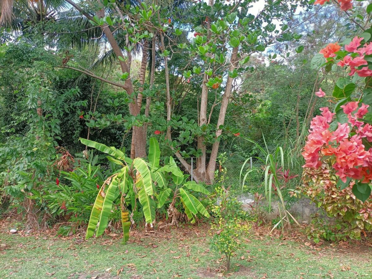 Le Colibri Ble Villa Sainte-Anne Exterior photo